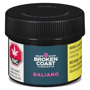 Broken Coast - Northern Lights Haze (Galiano)- Broken Coast - Dried Flower