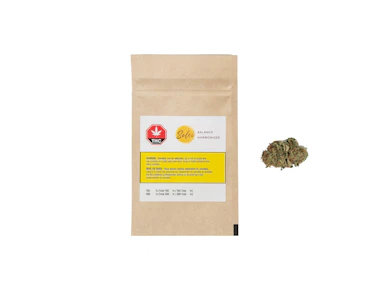 Solei - Free CBD Body Cream 75g