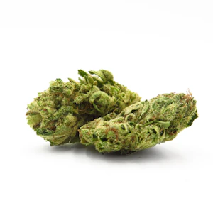 Grasslands - GRASSLANDS SATIVA 28G