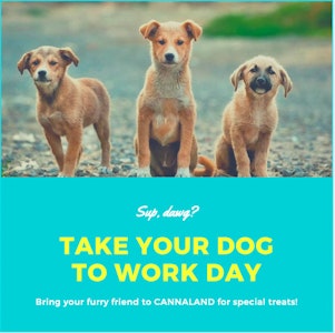 HBI - Hemp Wrap Tropical Passion