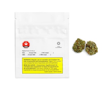 Pure Sunfarms - Backcross Mints