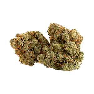 Trailblazer - SPARK BUDS 15