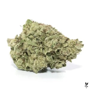 Grasslands - INDICA GRASSLANDS