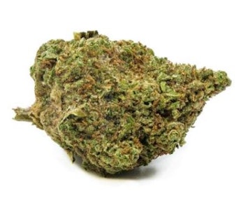 Redecan - 1G - WAPPA