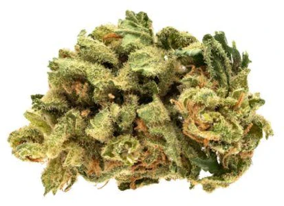 APHRIA INC. - Starwalker Kush - Good Supply