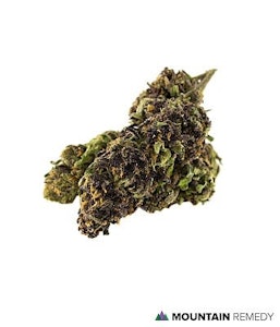 Top Leaf - PURPLE CLEMENTINE