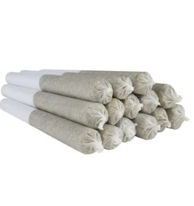 Shred - Tropic Thunder Pre-Rolls - 0.5g x 14