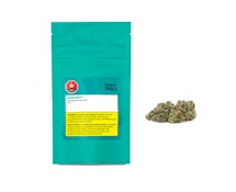 Rotterdam Indica 28 g Dried Flower