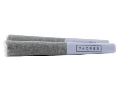 7ACRES - 0.5G x 2 - JACK HAZE PRE-ROLL