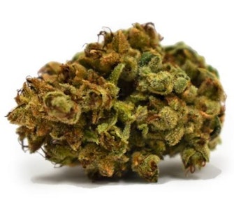 Color Cannabis - Ghost Train Haze - 7g