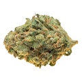 Limelight | 1g Dried Flower