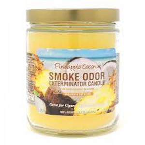 Smoke Odor - Pineapple Coconut 13oz