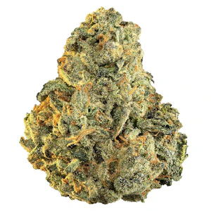 ORGANIGRAM INC. - I.C.C