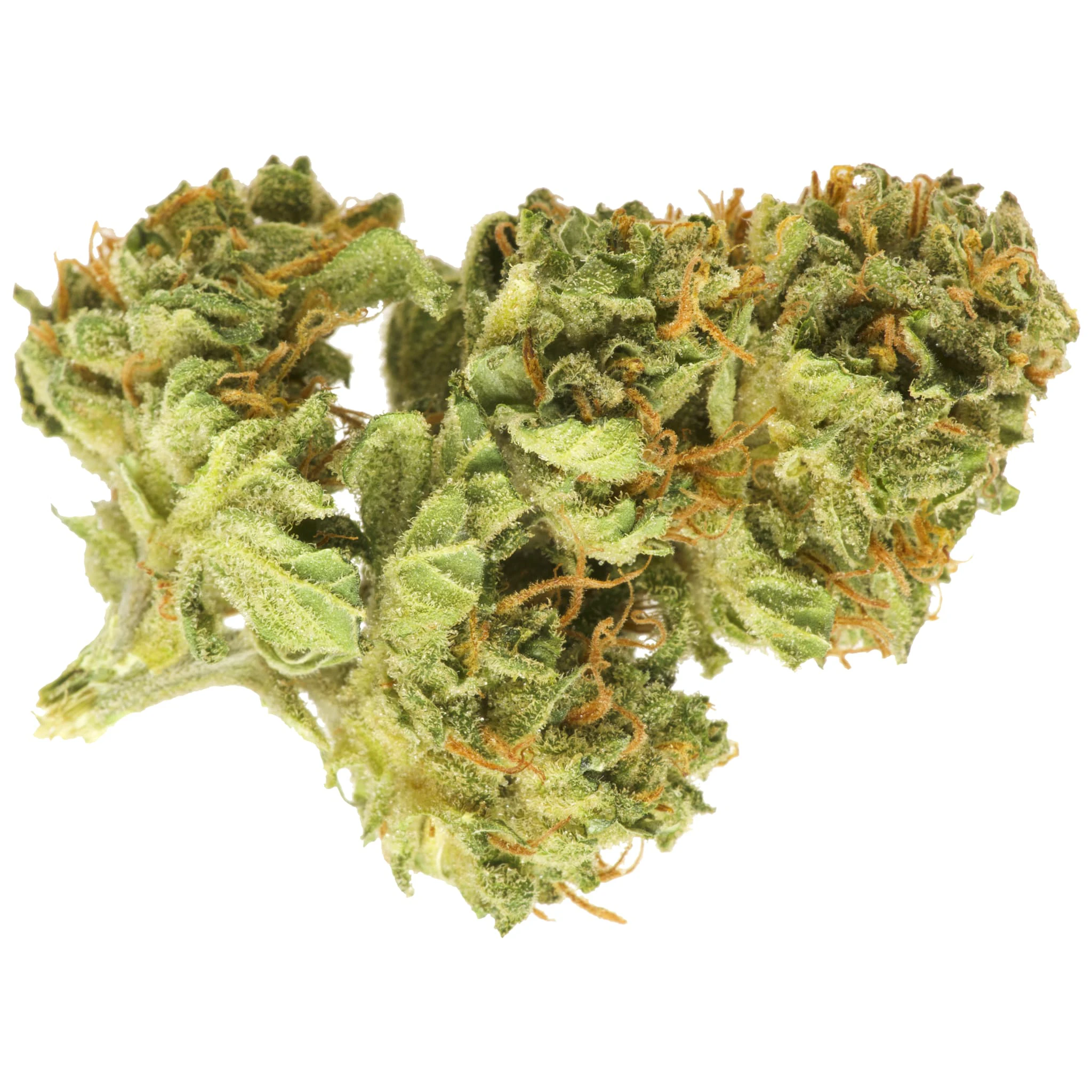 GOOD SUPPLY - Jean Guy (Good Supply) - 28g Main Image