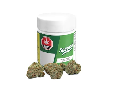 SOURZ by Spinach - SOURZ by Spinach Peach Orange 1:1 Soft Chews 5x5 g