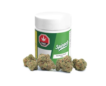 Spinach - Spinach Blueberry Dynamite 1.0 g Prefilled Vape Cartridge