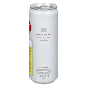 Blueberry Acai Sparkling Water-1x355ml