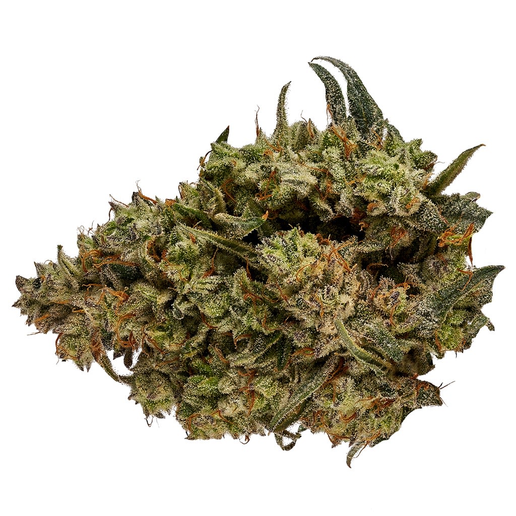 Orchid - CBD Runtz - CBD -3.5g