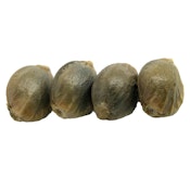 D 3 N A L I Sativa Seeds (Regular) 4pc *Main Street Exclusive*