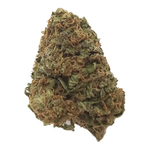 Dykstra Greenhouses - DYKSTRA GREENHOUSES California Dreaming