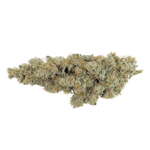 Msiku - Msiku - ICC x Kush Mints 11 Indica - 3.5g