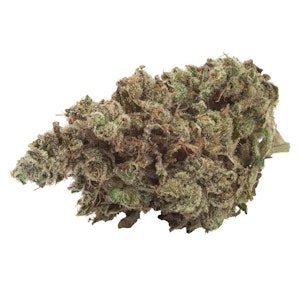 NATURAL HISTORY - Zour Apples