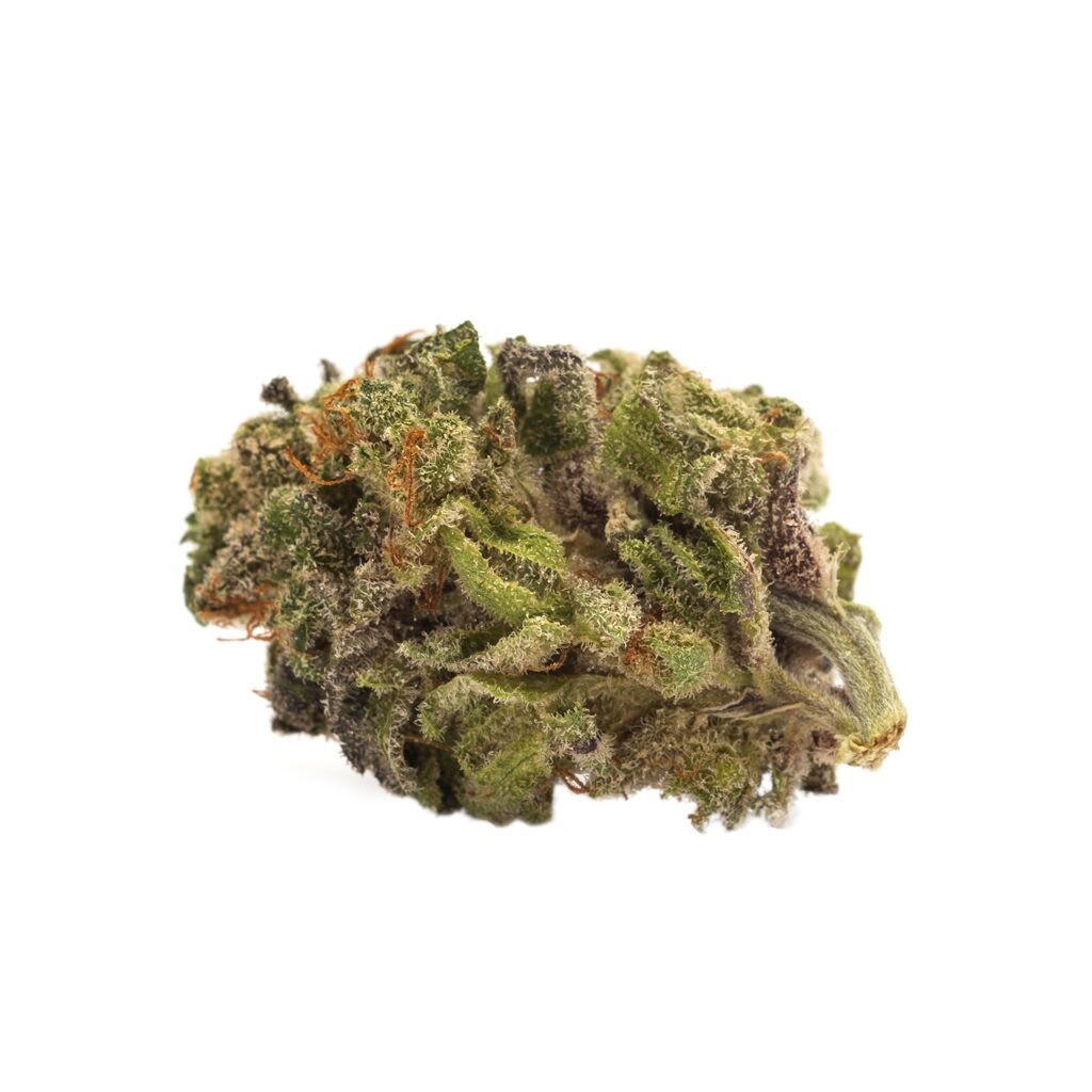 TWD SATIVA - 15