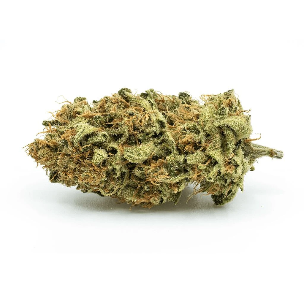 REDECAN - Redecan - Outlaw Sativa - 15g Main Image