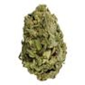 Bake Sale - BAKE SALE: All Purpose Flower Sativa - 28g