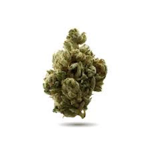 Wink - Cookies and Cream