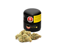 Cookie God 3.5g Dried Flower