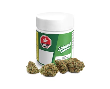 Peace Naturals Project Inc. - Diesel- Peace Naturals 