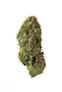 Homestead - (53) Bandwagon Sativa (Homestead)