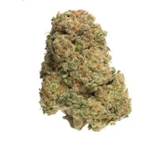 Homestead - 28G - BANDWAGON INDICA