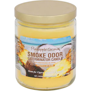  Smoke Odor - Pineapple Coconut