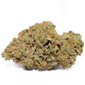 CBD Pumpkin Spice - 7g