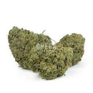 Broken Coast Cannabis - AMNESIA HAZE