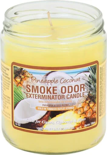 Bob HQ - Pineapple Coconut Main Image