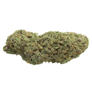 1964 - 1964 - Organic Sour Cookies