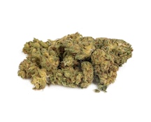 Jean Guy 28g