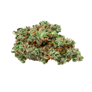 Bold Growth Inc - Bold Root Beer Float 3.5g