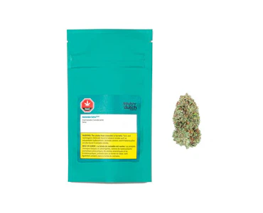Highly Dutch Organic - Amsterdam Sativa 28g Dried Flower