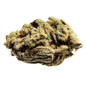 Station House - GG#4 - 14g