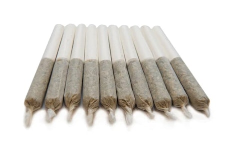 Color Cannabis - BLUEBERRY SEAGAL - 10 x 0.35g