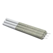 THE SCORE: INDICA PRE-ROLLS - 10