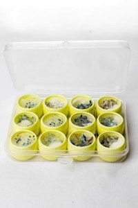 Onewholesale  - High Quality Daisy and Jack style Glass Screen