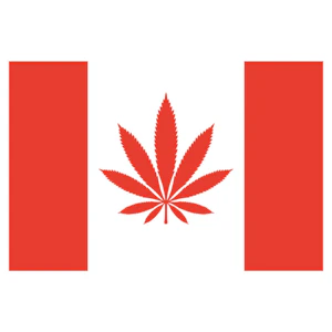 WCG Accessories - My Dab Mat Canada Leaf 11" x 8.5"