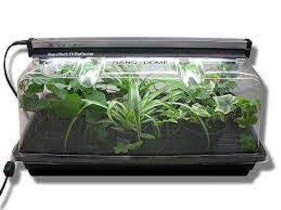 Ozzy Hydroponics Co. - Sun Blaster Mini Green House Kit 