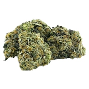 Pistol and Paris - Orange Tingz- Pistol and Paris