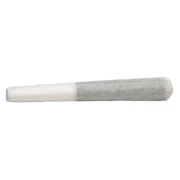 Root Beer Float Pre-Roll 3x0.5g Pre-Rolls